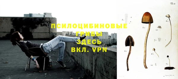 трава Магас