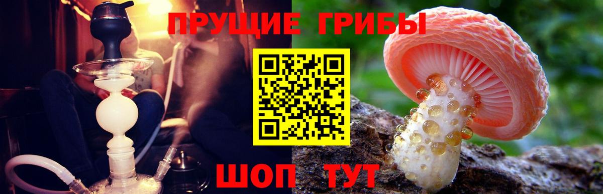 Псилоцибиновые грибы Cubensis  Добрянка 